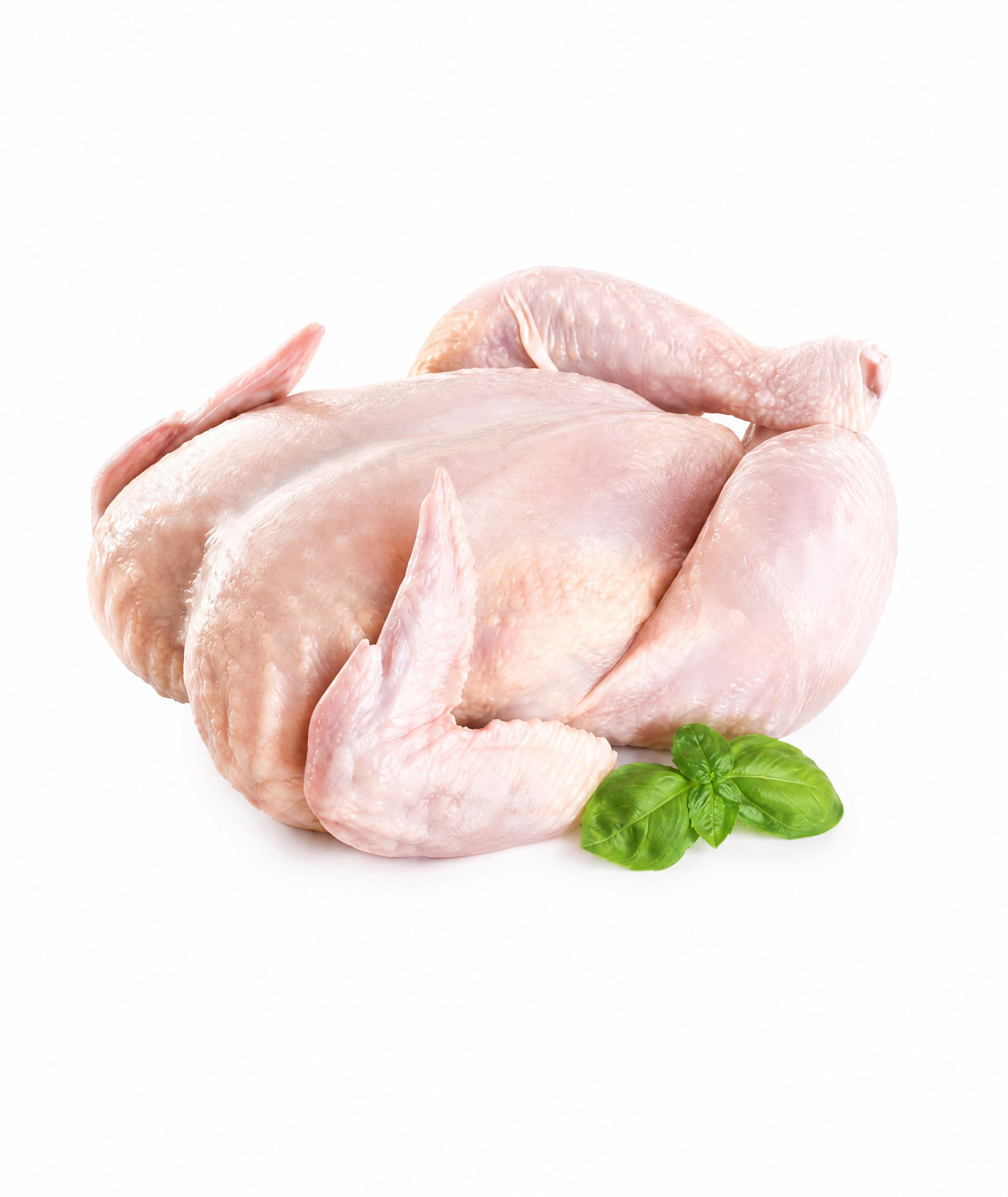 Fresh Local Chicken